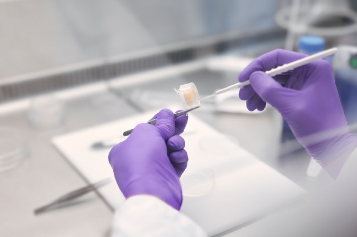 collaborations-neurology-2