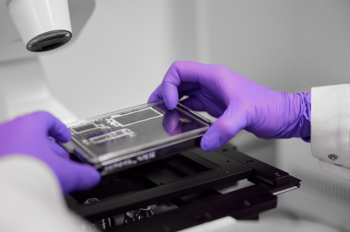 collaborations-rare-diseases